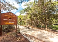 Nature and Picnic Park